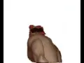 Ricardo Milos dance gif