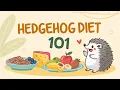 Healthy Hedgehog Diet 101 Safe Foods Tasty Rewards