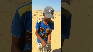 صيد العصافير بالنبله عصفور الحماري الصياد إسماعيل 