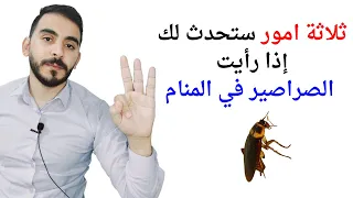 ثلاثة أمور ستحدث لك إذا رأيت الصراصير في المنام L تفسير حلم رؤيا الصراصير بالتفصيل 
