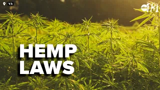 Virginia hemp businesses file lawsuit over new restrictions