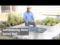 How to Grow Vegetables With Self-Watering Metal Raised Beds Gardener s Supply