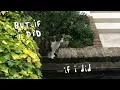 Frankie Cosmos - Empty Head (Lyric Video)