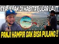 ULAR INI 10x LEBIH MEM*TIKAN DARI KING COBRA !! PANJI NEKAT MANCING DI HABITATNYA