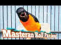 Download Lagu Masteran Roll Panjang Burung Mantenan Gacor