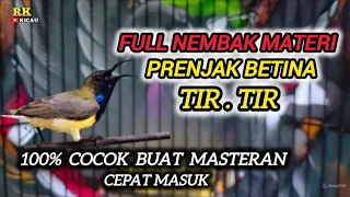 sogon gacor nembak materi prenjak tir 100 suitable for mastering sogon materials