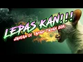 Download Lagu 🔴 LEPAS KAN!!! REMIX LAMPUNG MUSIK LEPAS ARR DINDA SADAM