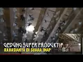 Download Lagu Gedung SUPER Produktif - Rahasia Trik APLIKASI Suara Inap untuk Anakan Walet