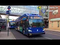 NYCT Bus C40LFs and XN40s on the B3 B6 and B36 bus routes
