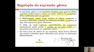 Genoma - Módulo B - Aula Regulação da Expressão gênica