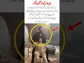 Download Lagu Hania amir and Fahad Mustafa show controversy video #youtubeshorts #viralvideo #unfreezmyaccout