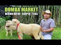 Lagu RIVIEW HARGA DOMBA TERMURAH HARI INI DOMBA MERINO BATUR, DORPER, TEXEL DI DOMBA MARKET BLITAR