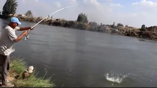 حتى البياض طلع فكهانى فيديو من جهز عدتك للحبايب 