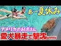 Download Lagu 全母涙の夏休み始動！買い物→ランチ→JKプール→愛犬暴走→母撃沈→夜ご飯♪