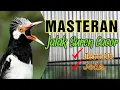 Download Lagu Jalak Suren Gacor Panjang Suara Jernih Jeda