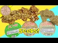 Download Lagu La Canasta Mixed Seeds \u0026 Peanut Candy - Pepitoria Mixta Review - Pumpkin \u0026 Sesame Seeds