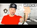 DrainWig - Hair Catcher A Shark Tank Product I m Testing to see if it really Works