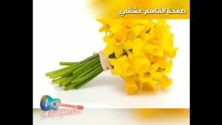 مجد القاسم خمسه وخميسه دندنها
