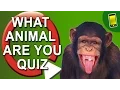 What Animal Am I Quiz