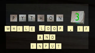python 3 while loop if and input