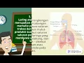 Download Lagu organ organ pernapasan