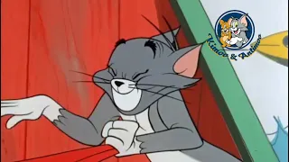 خمسة سنتي   شارموفرز       دندنها