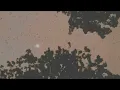 Ian Ewing x Gas-Lab - Febrero
