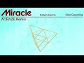 Calvin Harris, Ellie Goulding - Miracle (ACRAZE Remix - Official Visualiser)