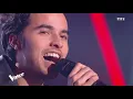 Stéphane Eicher  – Déjeuner en paix |Romain| Blind Audition |The Voice France 2020