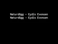 [MuseScore] Eydís Evensen - Næturdögg (arranged by Spookuur)