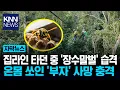 집라인 타다 '말벌 떼' 습격 '살인적' 독성에 쇼크사 '충격'/ KNN