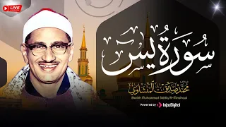 جمال التجويد لا يتوقف سورة يس للشيخ المنشاوي جودة عالية HD 