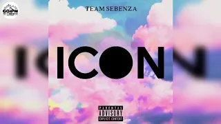 team sebenza icon
