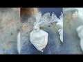 Floyd County Sheriff s Department Makes a Huge Drug Bust During Arrest