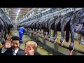 Download Lagu Amerika Tak Percaya China Ternakan Jutaan Angsa Hitam Dalam Skala Besar Untung Banyak - Peternakan..