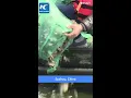 Download Lagu Juvenile crabs released into Taihu Lake in China's Suzhou