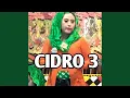 CiDRO 3