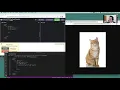 How to Finish the Build a Tribute Page on freecodecamp SOLVE IN 12 MINUTES