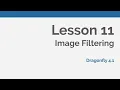Dragonfly Daily 11 Image Filtering with Dragonfly 2020
