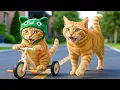Download Lagu Mama Cat Trims Fur on the Farm and Makes Tiger Hat For Kittens At Home🐾🎩🐯