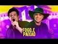 Download Lagu Fogo e paixão - Wando - [VERSÃO ARROCHA] @QUALITYREMIXX