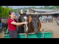 Download Lagu REWIND TIMELAPSE – Buying 100+ Horses from Villagers, Using Truck Transport Horses Go to Market Sell