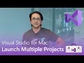 Visual Studio for Mac Launch Multiple Projects