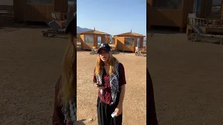 غازي حلق دقنه ورد فعل شهد ومصطفي ودولت 