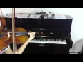 European tone wood violin Ebay-yourdealscenter 1002