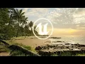 Complete Beginner Guide To Unreal Engine 5 UE5 Starter Course - Tropical Beach