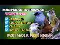 Download Lagu 2 jam masteran istimewah kombinasi murai air,cucak jenggot,ciliin dan kapas tembak
