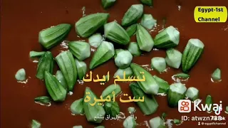 تسلم ايدك ست اميرة دندنها