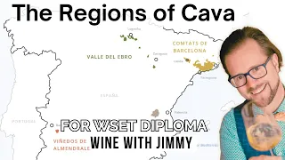 Unveiling the Secrets of Spanish Sparkling Wine A Deep Dive into Cava Regions for WSET Level 4