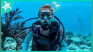 SCUBA Dive in Fowey Rocks Lighthouse!